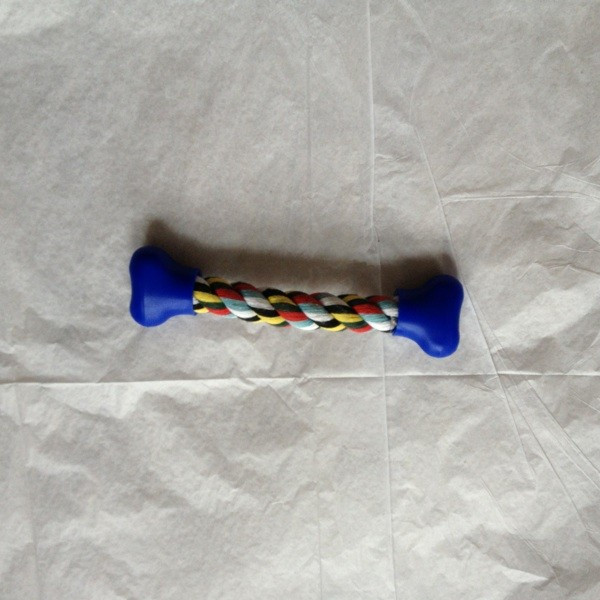 bone010